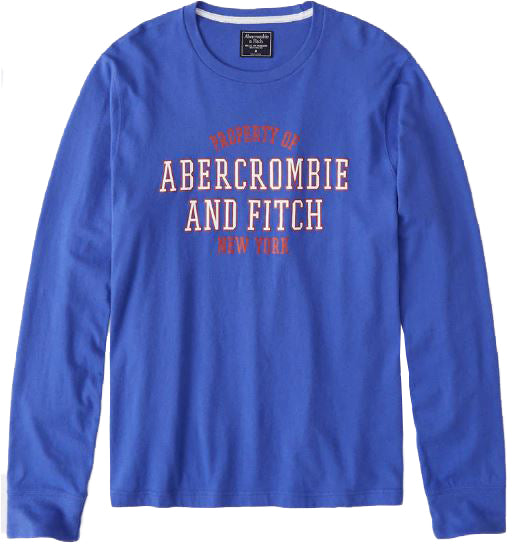 Abercrombie & Fitch Long Sleeve Applique Tee Blue