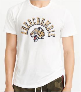 ABERCROMBIE & FITCH VARSITY GRAPHIC LOGO TEE