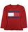 TH Little Boys Flag Shirt